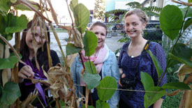 Sukkot at Temple Beth El, 9-29-15