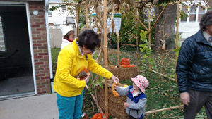 Sukkot & Ecology and Faith